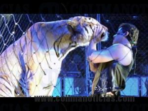 circo 1