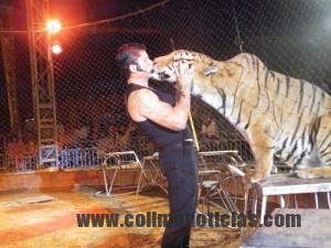 circo