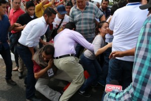 Imagen 12560 (1)