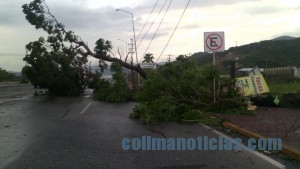 Manzanillo después de Patricia8 (Medium)