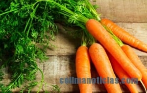 zanahorias