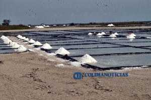 Salinas3