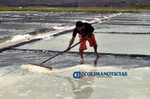 salinas1