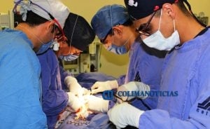 Realizan trasplante