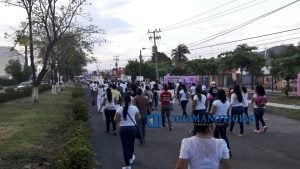 maestros marchan cnte