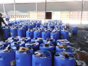 Marina incauta tambos contaminados con cocaína2