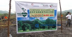 API Manzanillo participa en la campaña de reforestación social de la Conafor2