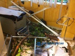 daños IMSS fotos de cortesía