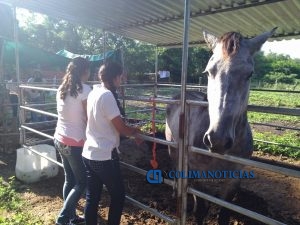 equinoterapia-a-estudiantes-para-tener-seguridad-y-confianza3