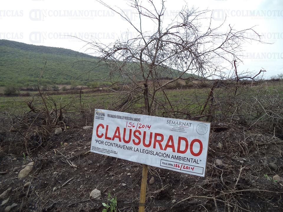 PROFEPA Clausura Parque Industrial Por Tala De árboles | Colima Noticias