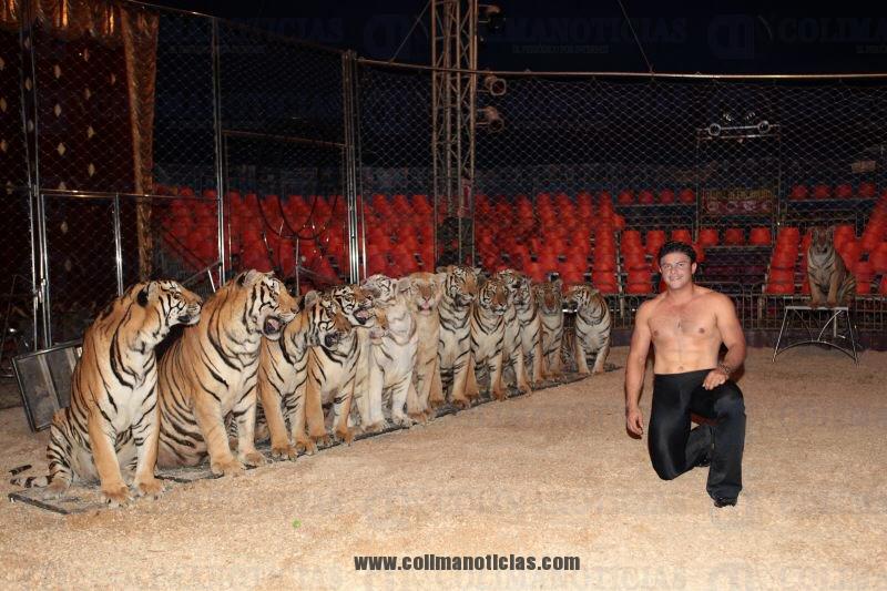 LUCHAN CIRCOS POR SOBREVIVIR SIN ANIMALES | Colima Noticias