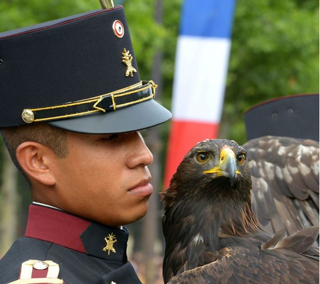 Desfile de 'Águilas' mexicanas en Día Nacional de Francia | Colima Noticias