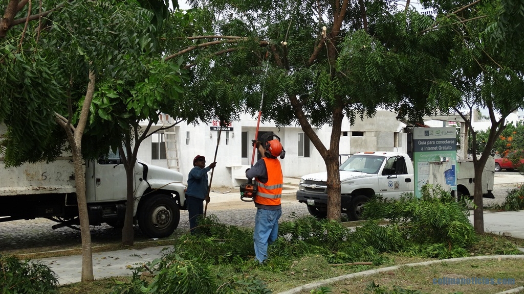 Intensifican limpieza en parques, jardines y camellones de la Villa | Colima  Noticias