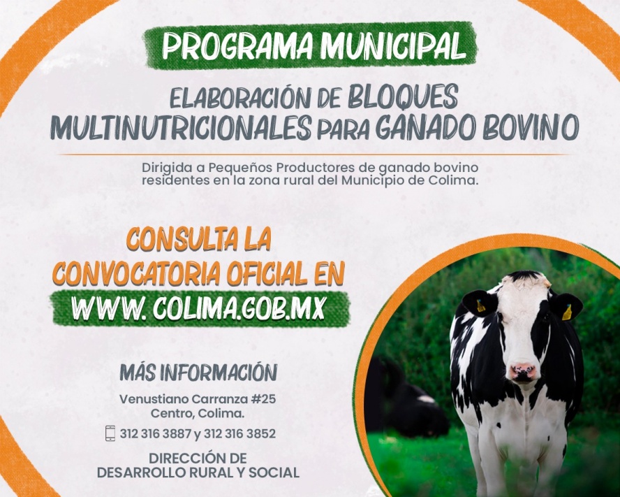 Programa Municipal De Bloques Multinutricionales Para Ganado Bovino Colima Noticias 2292