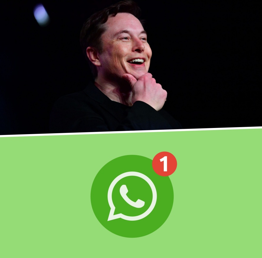 Elon Musk Recomienda Cambiar Whatsapp Por Signal Colima Noticias 8618